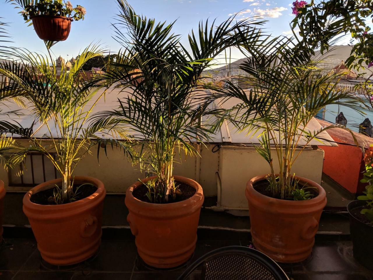 Hostal De Las Americas Oaxaca Bagian luar foto