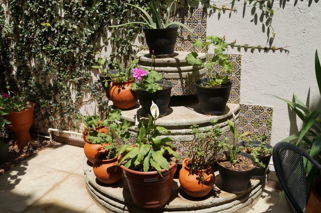 Hostal De Las Americas Oaxaca Bagian luar foto